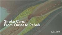 Stroke Care: From Onset to Rehab